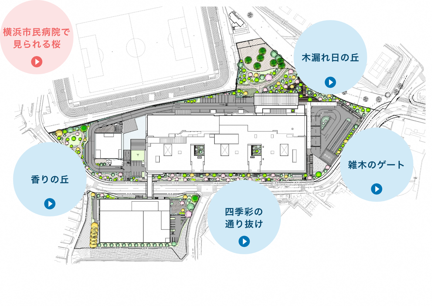 Park Hospitalの散歩道
