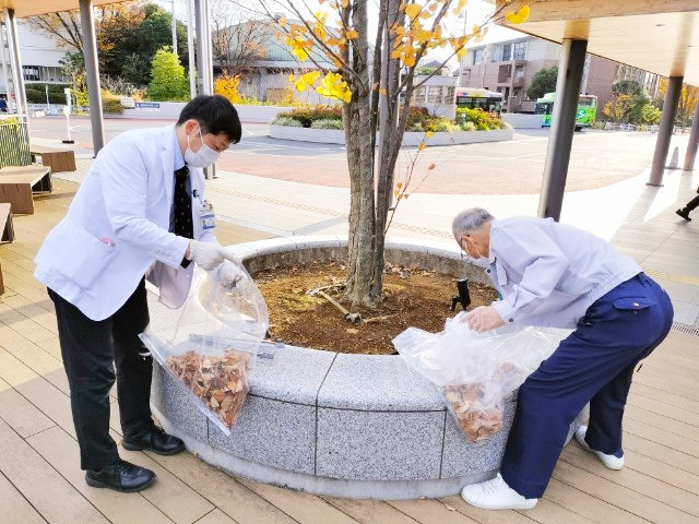 手入れ風景