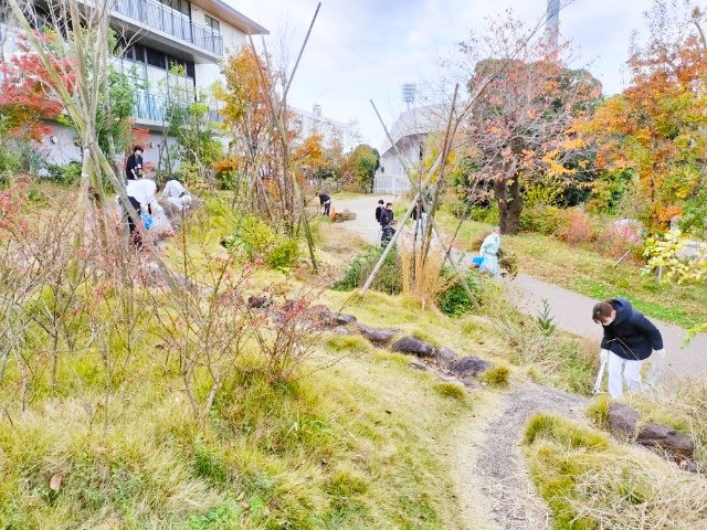 手入れ風景